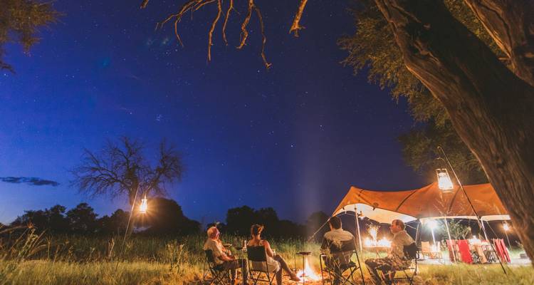 Group enjoying a campfire under a starry sky.