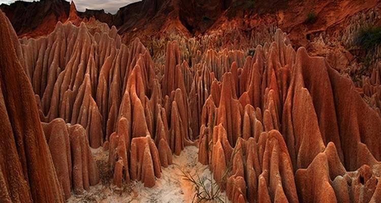 La destination phare de Madagascar : Nosy Be, la mer d'Émeraude et les parcs nationaux du Nord - Bio D Island LLC 7