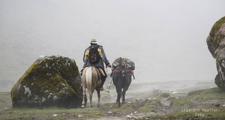 Person on a horse walking through misty rocky landscape