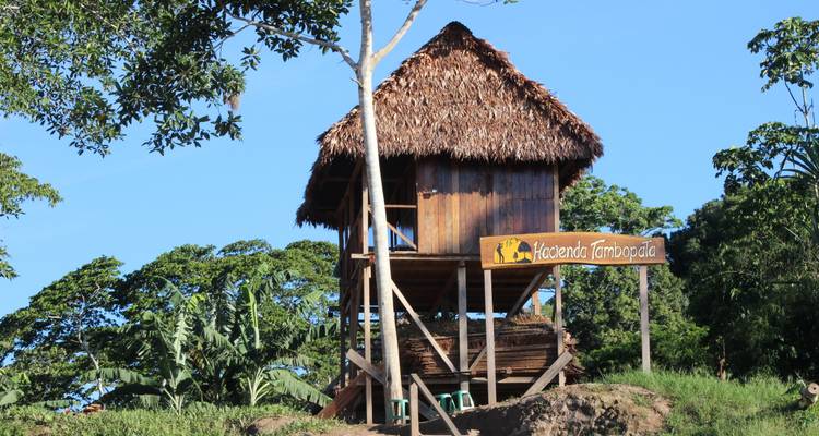 Lac Sandoval 5 jours et 4 nuits - Monte Amazonico Lodge  7