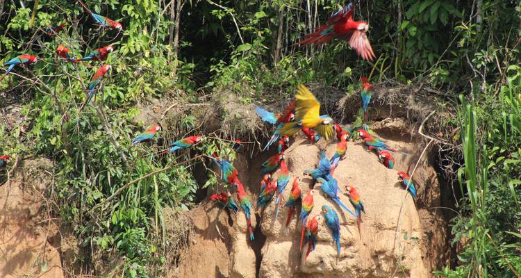 Lac Sandoval 5 jours et 4 nuits - Monte Amazonico Lodge  9