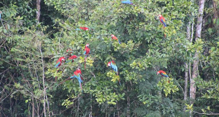 Lac Sandoval 5 jours et 4 nuits - Monte Amazonico Lodge  10