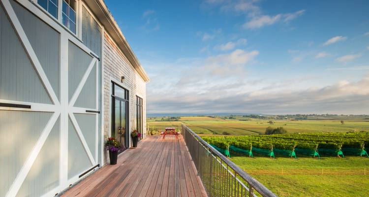 Une terrasse en bois surplombe des rangées de vignes ordonnées et une campagne en patchwork sous une lumière matinale douce.