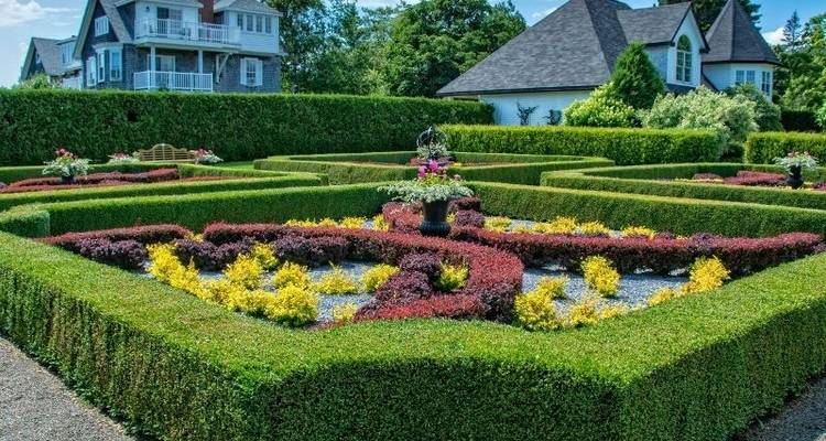 Wonders of the Bay of Fundy - Atlantic Tours & Travel 3
