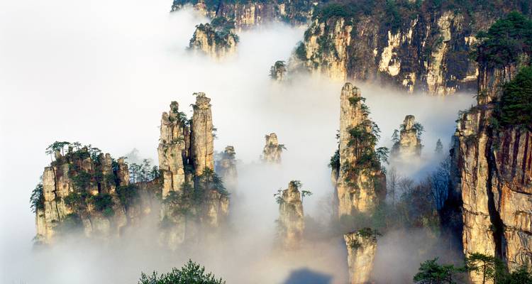 Tall sandstone pinnacles emerging through morning mist in Zhangjiajie forest.