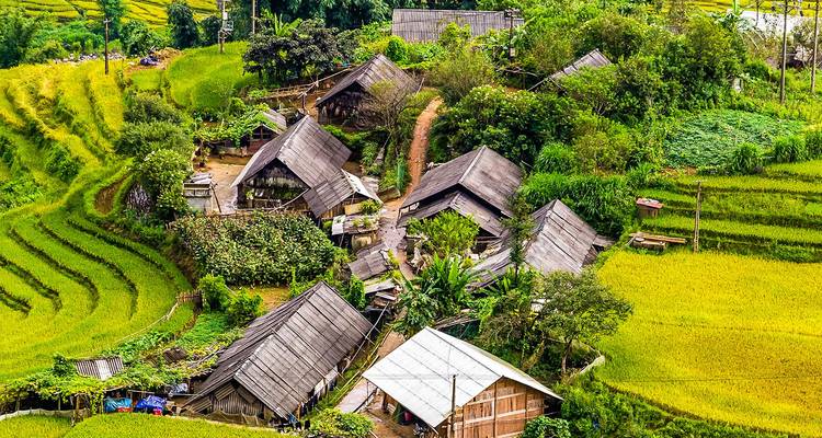 Traditional stilt houses amidst lush green rice terraces.