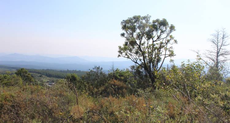 3 jours - Circuit du parc national Kruger de Sabi Sands - Timeline Travel DMC 6