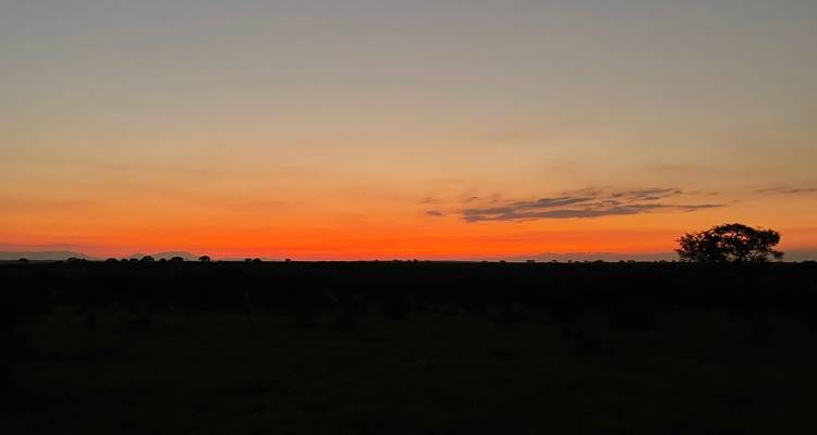 3 jours - Circuit du parc national Kruger de Sabi Sands - Timeline Travel DMC 7