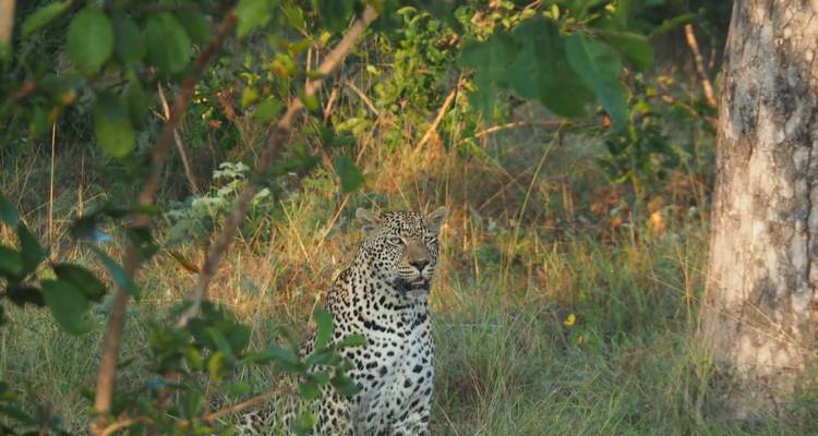 3 Day | Kruger National Park Safari - Timeline Travel DMC 10