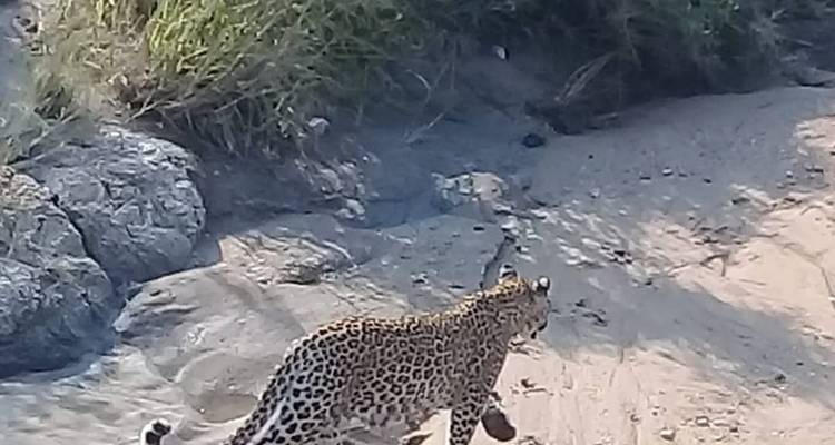3 Day | Kruger National Park Safari - Timeline Travel DMC 2