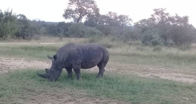 3 Day | Kruger National Park Safari - Timeline Travel DMC 1