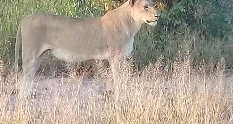 5 jours - Parc national Kruger et route panoramique - Timeline Travel DMC 1