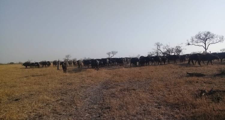 5 jours - Johannesburg, Kruger et Le Cap - Timeline Travel DMC 1