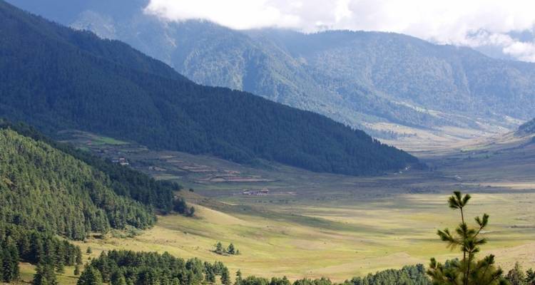 Thimphu Festival Tour Bhutan - Sherpa Expedition & Trekking Pvt. Ltd. 6