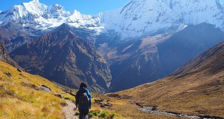 Trek du camp de base de l'Annapurna 9 jours - Sherpa Expedition Teams 3