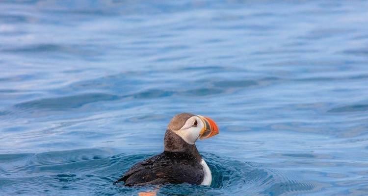 Rodea Terranova y Labrador - Atlantic Tours & Travel 4