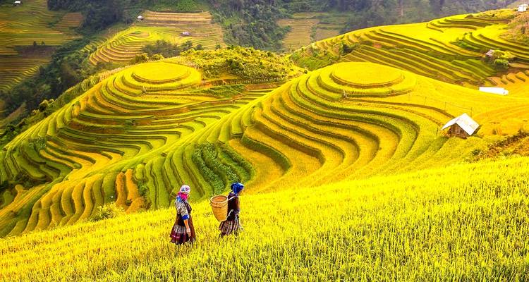 Vacaciones privadas a medida en Vietnam, con coche privado y salida diaria - Agate Travel 4