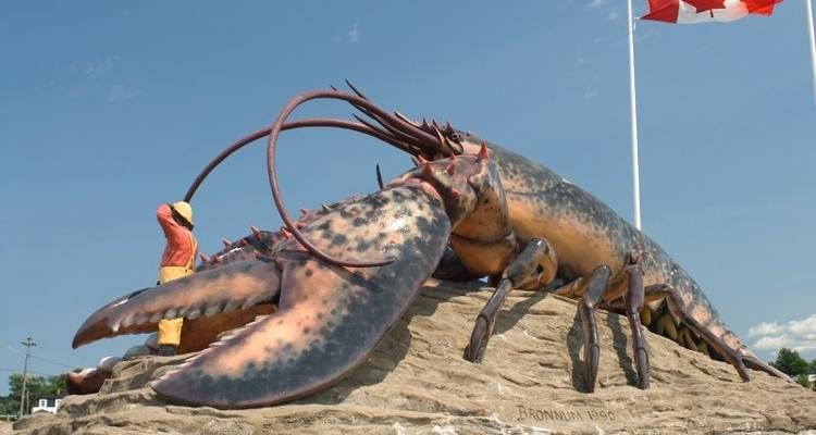 Atlantique Maritimes et piste des Vikings - Atlantic Tours & Travel 6
