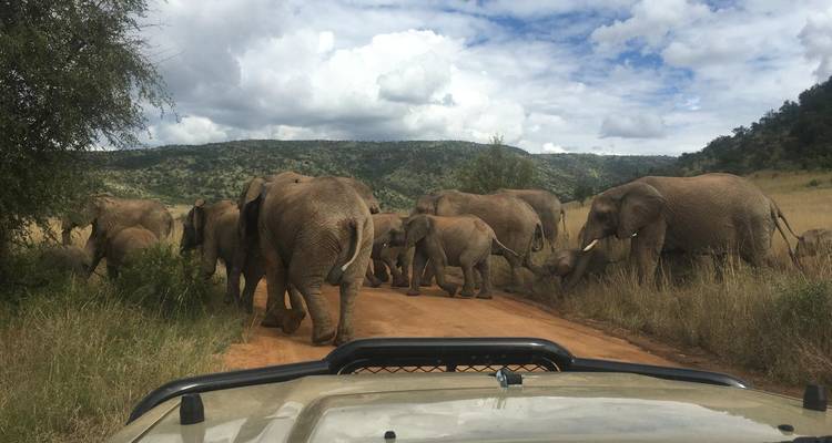3 jours - Réserve Pilanesberg Big 5 - Timeline Travel DMC 3