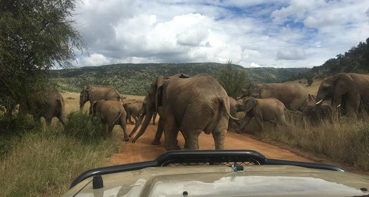 3 jours - Réserve Pilanesberg Big 5 - Timeline Travel DMC 4