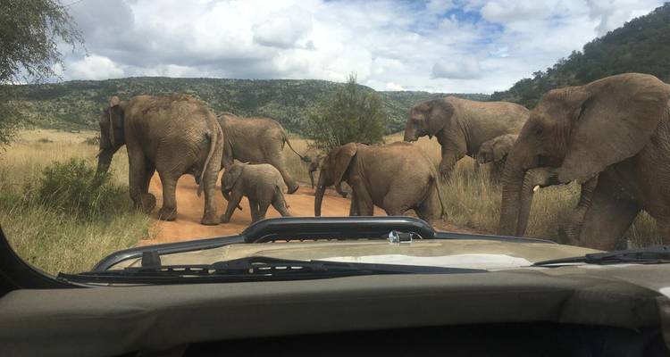 3 jours - Réserve Pilanesberg Big 5 - Timeline Travel DMC 6