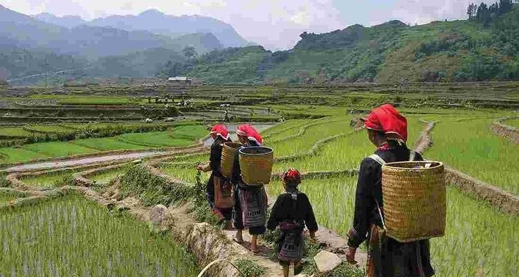 Impression of Vietnam with Sapa - Threeland Travel 2