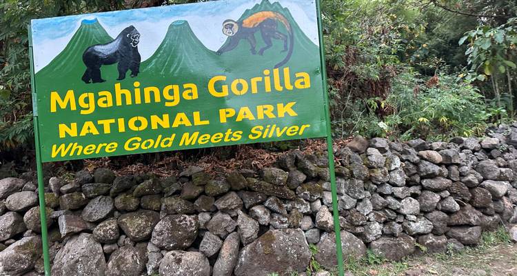 11 Day Chimpanzee Trekking, Gorilla Tracking & Wildlife Safari - Safari 2 Gorilla Tours (U) Ltd 10