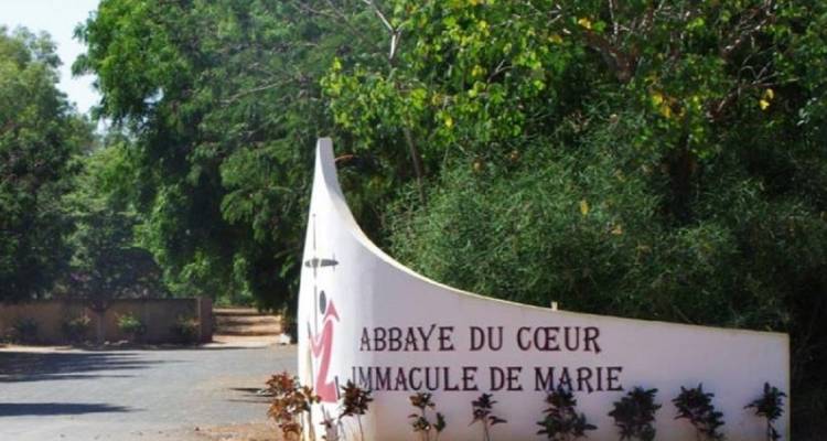 Keur Moussa, Kayar, Aldea de las Tortugas, Lago Rosa, 1 día - Continent Tours 3
