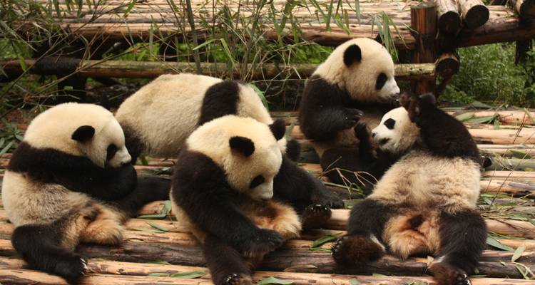 L'essentiel de la Chine - Exodus Adventure Travels 3