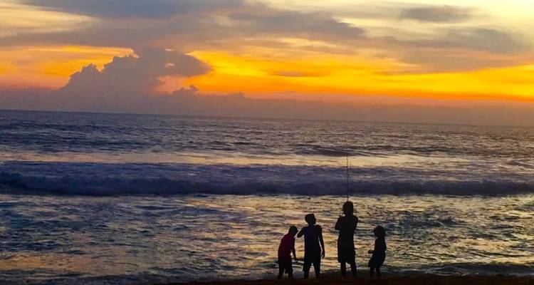 Economía 08 Días [Lo mejor de Sri Lanka en invierno] - showlanka tours  4