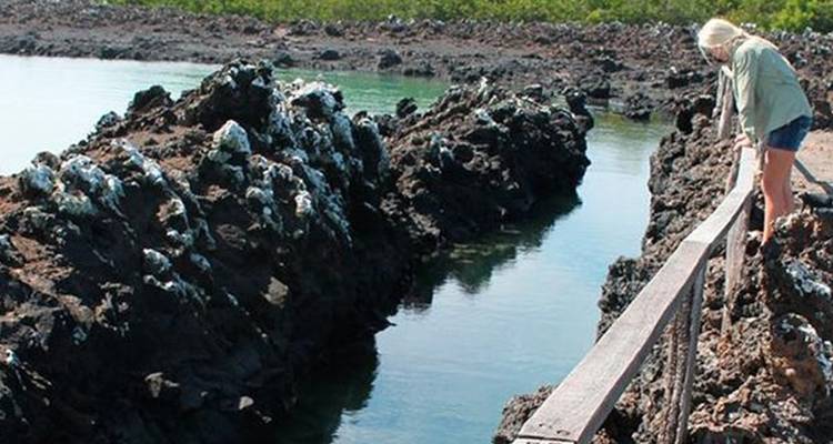 5-Day Amazing Galapagos: Isabela and Santa Cruz Islands - Nature Galapagos & Ecuador 1