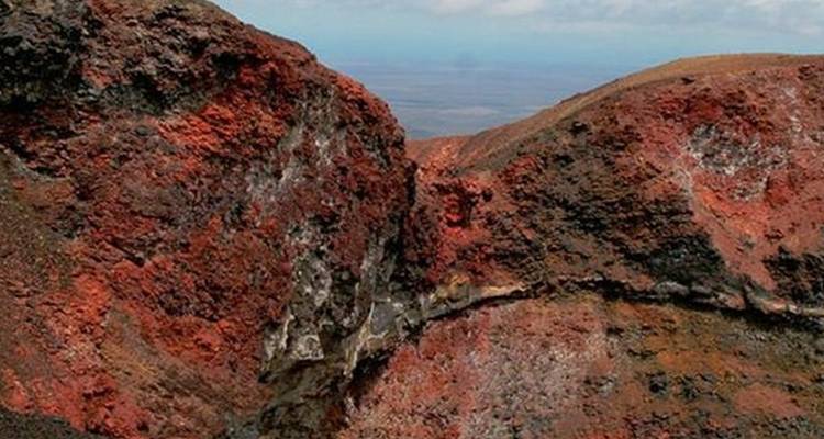 5-Day Amazing Galapagos: Isabela and Santa Cruz Islands - Nature Galapagos & Ecuador 4