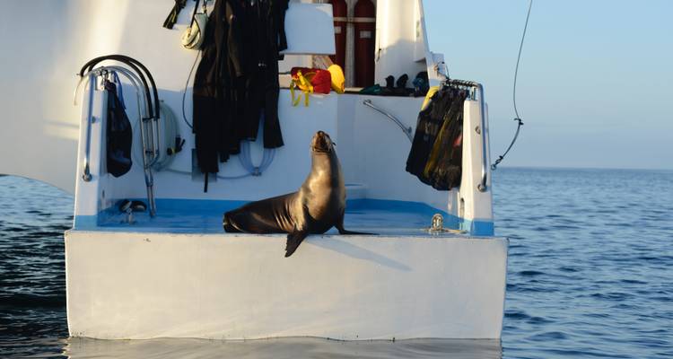 5-Day Amazing Galapagos: Isabela and Santa Cruz Islands - Nature Galapagos & Ecuador 10