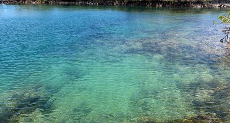 5-Day Amazing Galapagos: Isabela and Santa Cruz Islands - Nature Galapagos & Ecuador 7