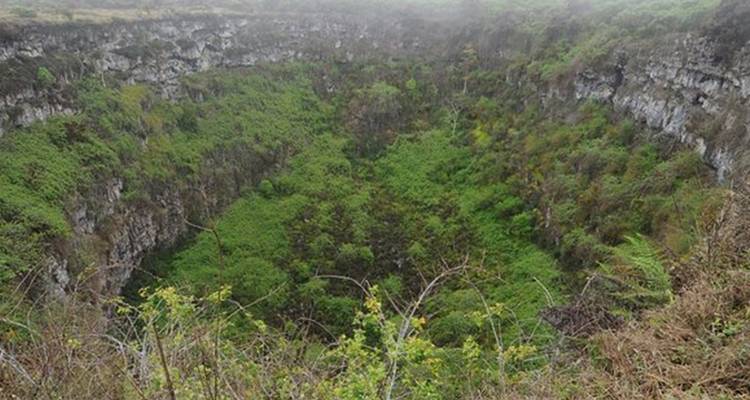 5-Day Amazing Galapagos: Isabela and Santa Cruz Islands - Nature Galapagos & Ecuador 2