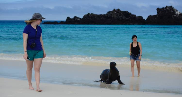 Dos personas en una playa con un lobo marino en las Islas Galápagos.