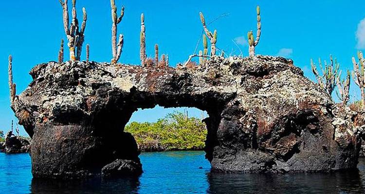 Circuit terrestre de 6 jours aux Galápagos et programme Cabo Rosa - Los Tuneles - Nature Galapagos & Ecuador 8