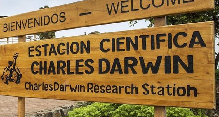 Circuit terrestre de 6 jours aux Galápagos et programme Cabo Rosa - Los Tuneles - Nature Galapagos & Ecuador 7