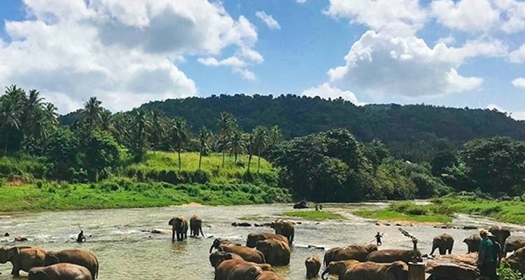 Sri Lanka exprés - MW Tours 2