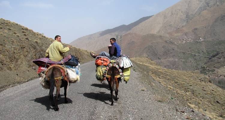Dos hombres montando burros cargados con sacos en un camino de montaña.
