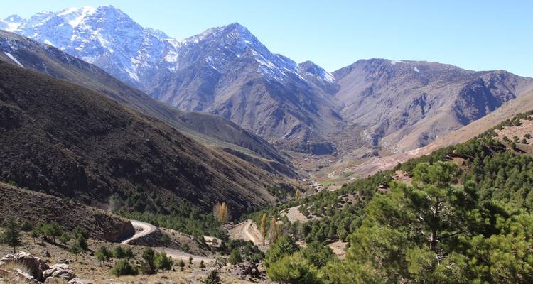 Vista panorámica de un valle con montañas nevadas en la distancia.