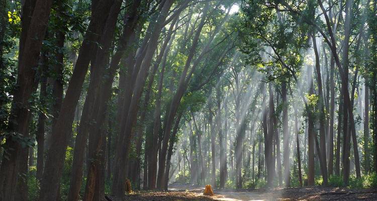 Circuit de 8 jours dans le Triangle d'Or avec Ranthambore et Udaipur {Taj Mahal, Tigres, Lacs et autres} - Travelaera 4
