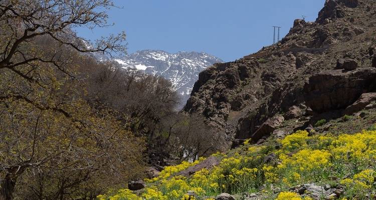 Senderismo en Marruecos: excursión al Toubkal - 3 días - View Morocco 10