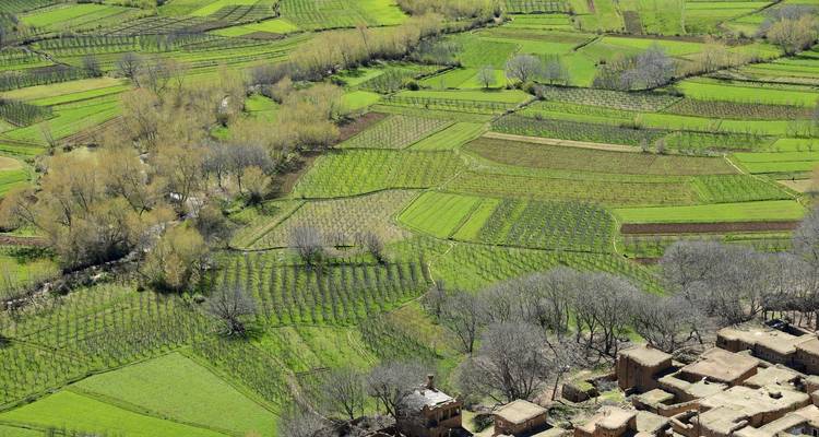 Trekking in Morocco: M’Goun Trek - 6 Days - View Morocco 8