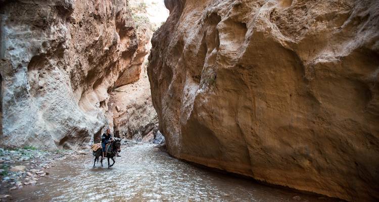 Trekking in Morocco: M’Goun Trek - 6 Days - View Morocco 9