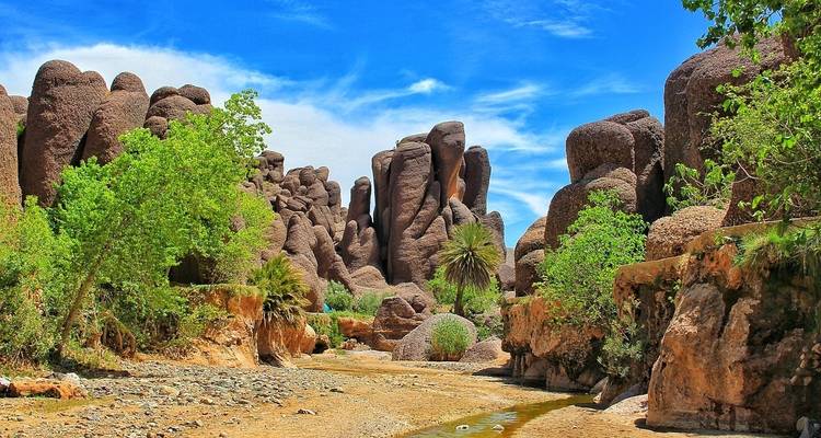 Trekking in Morocco: Mount Siroua - 7 Days - View Morocco 9