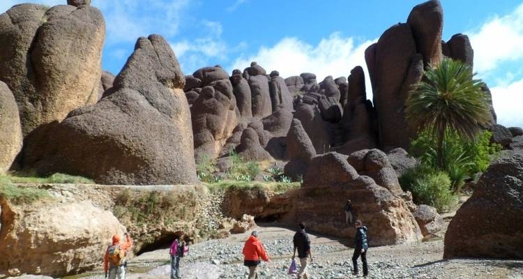 Trekking in Morocco: Mount Siroua - 7 Days - View Morocco 4
