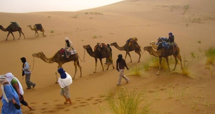 Groep mensen en kamelen die door de woestijn lopen.