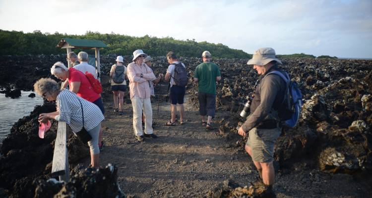 Excursion d'une demi-journée à l'îlot Tintoreras sur l'île d'Isabela - Galapagos - Nature Galapagos & Ecuador 10