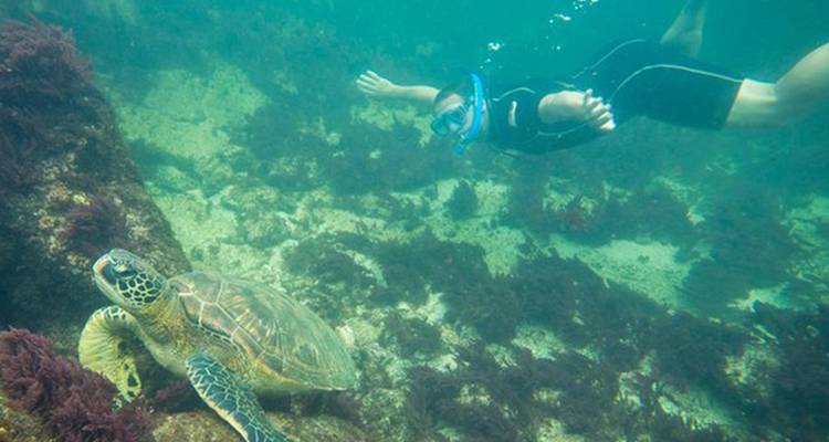 Half-Day Trip to Los Tuneles Cabo Rosa in Isabela Galapagos - Nature Galapagos & Ecuador 4